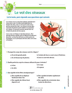 Le vol des oiseaux