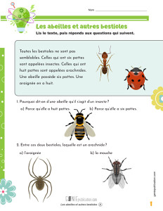Les abeilles et autres bestioles