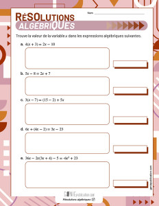 Résolutions algébriques