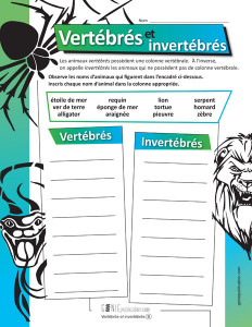 Vertébrés et invertébrés