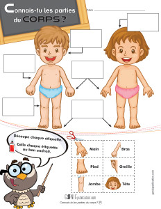 Connais-tu les parties du corps ?