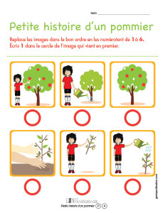 Petite histoire d'un pommier