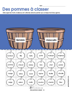 Des pommes à classer