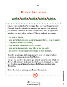 Un sapin bien décoré