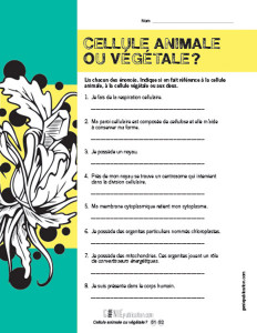 Cellule animale ou végétale ?