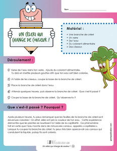 Un cèleri qui change de couleur !