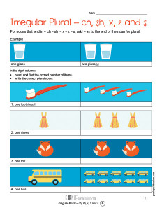 Irregular Plural – ch, sh, x, z and s