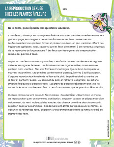 La reproduction sexuée chez les plantes à fleurs