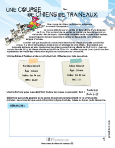 Une course de chiens de traineaux