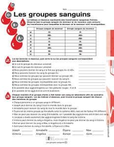 Les groupes sanguins