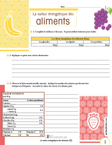 La valeur énergétique des aliments