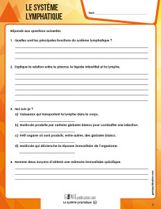 Le système lymphatique