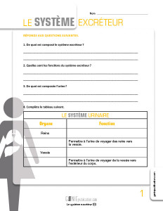 Le système excréteur