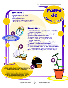 Faire de petits citrons