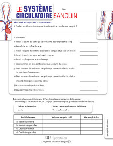Le système circulatoire sanguin