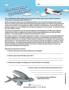 Des poissons qui volent?