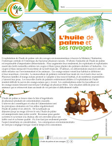 L'huile de palme et ses ravages