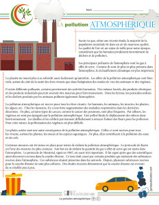 La pollution atmosphérique