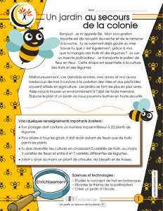 Un jardin au secours de la colonie